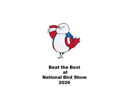 Yellow Booster Button