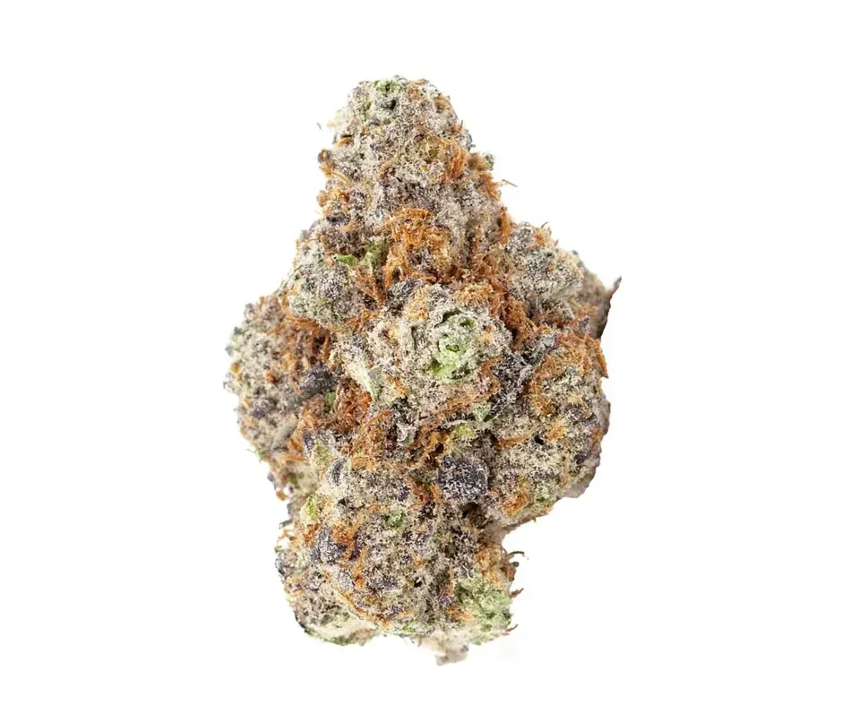 Cherry Punch | SATIVA