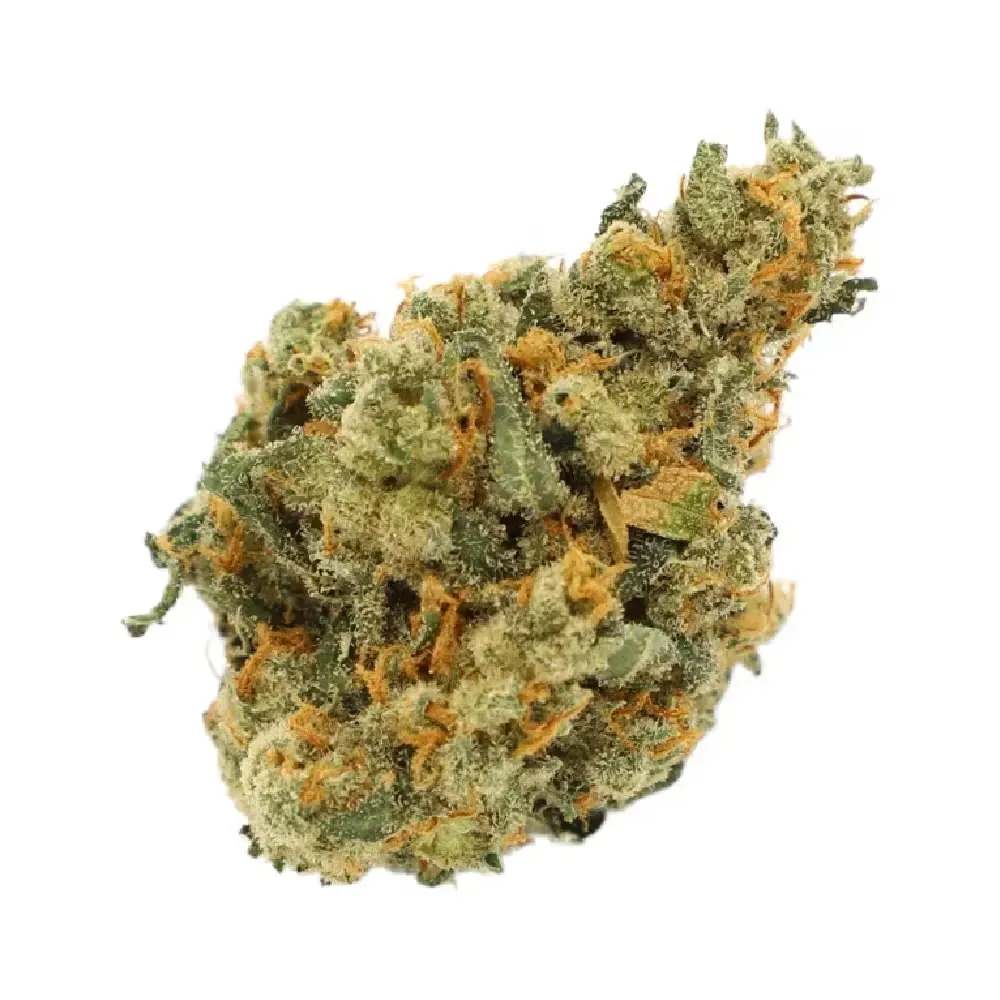 Frosted Sherbet | INDICA