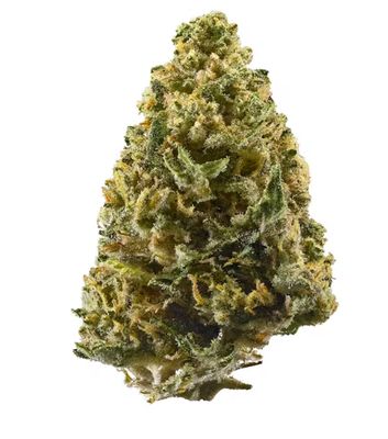 Northern Lights | Indica