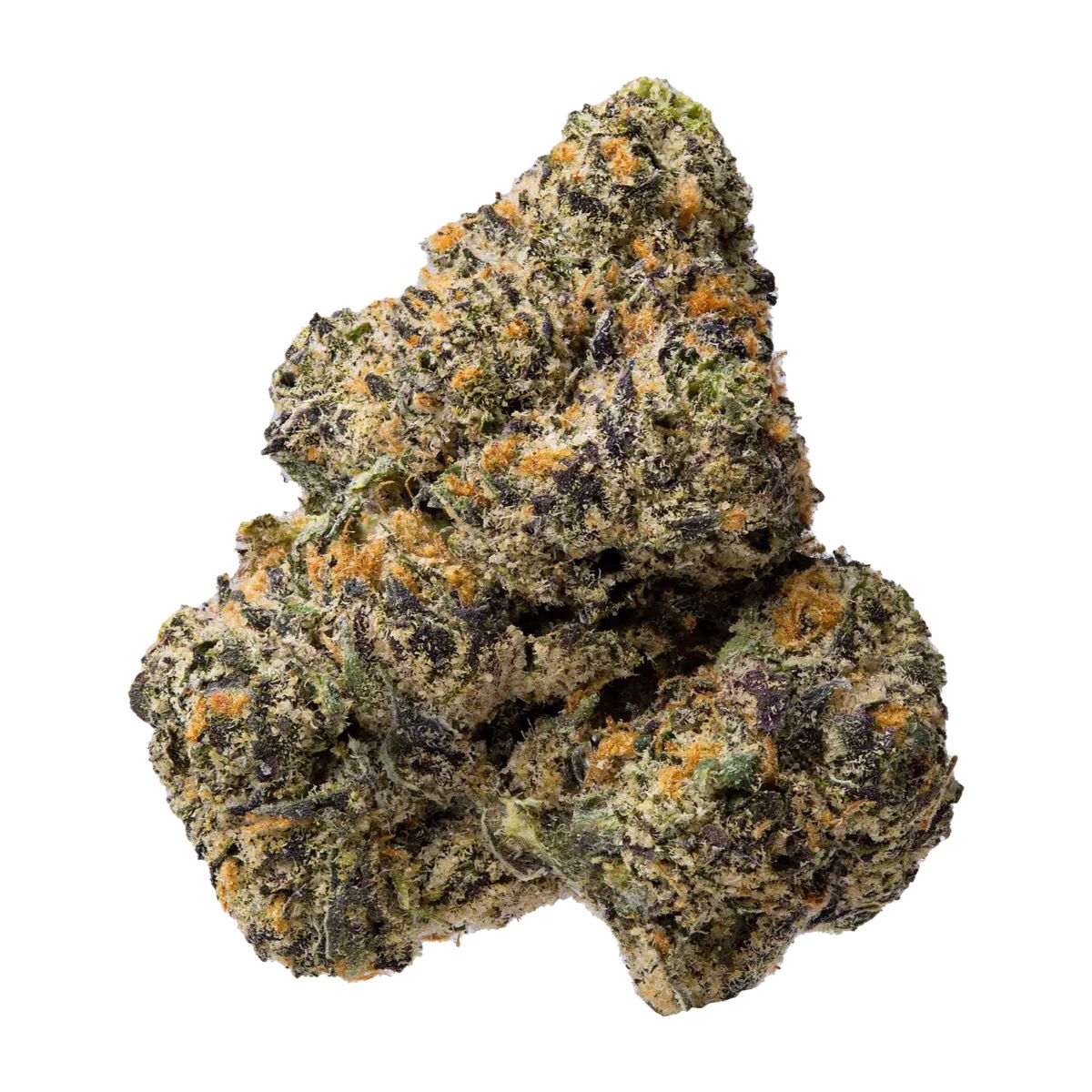 LONDON CAKE RUNTZ | HYBRID