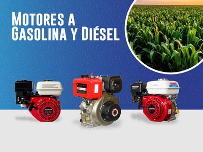 Motores a Gasolina y Diesel
