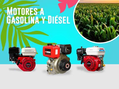 Motores a Gasolina y Diesel