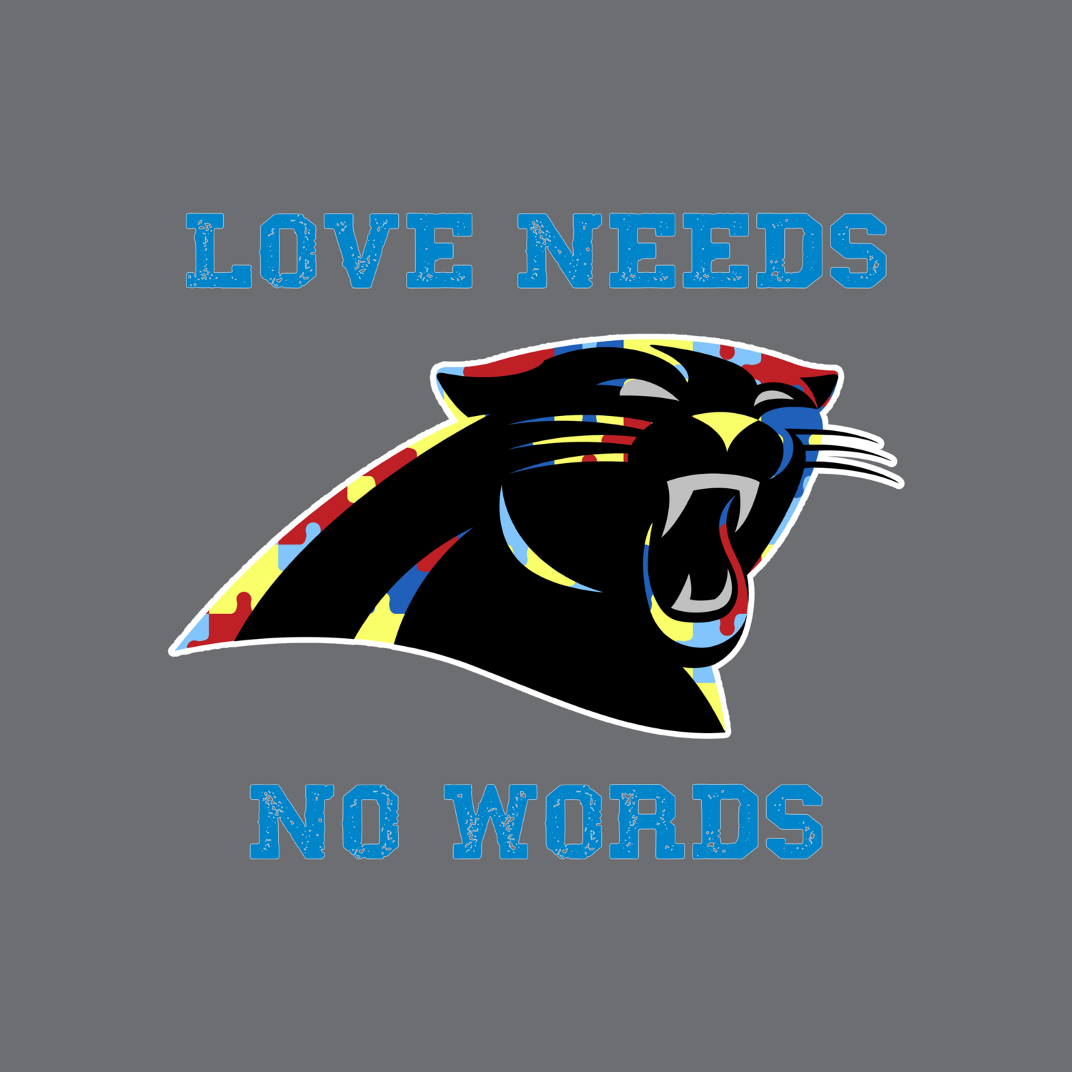 Panthers Autism Love Needs No Words