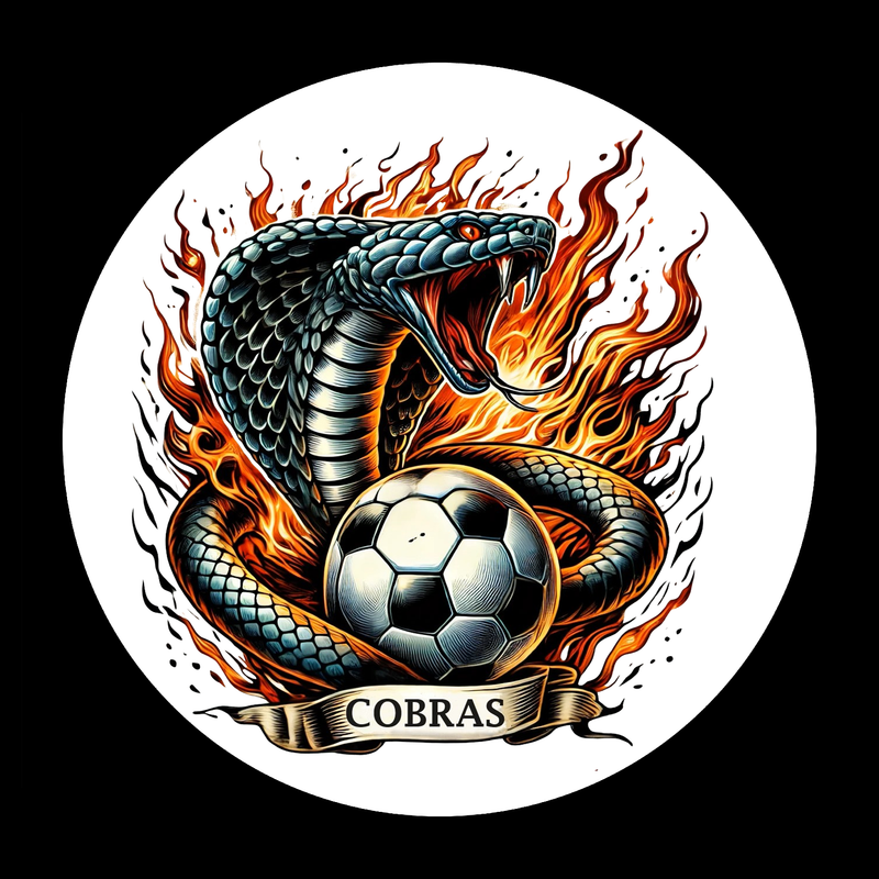 Car Magnets 4" Round