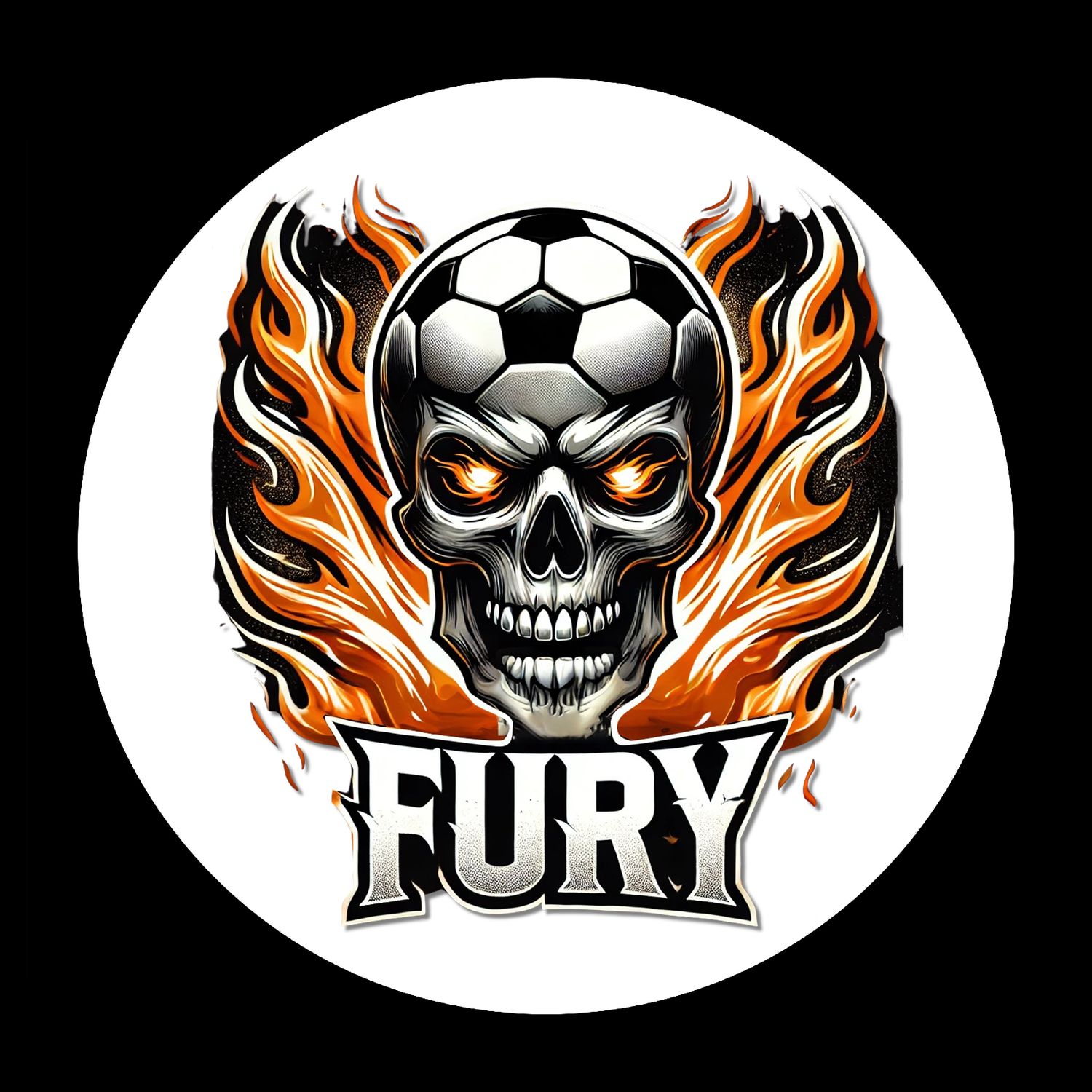 Car Magnets 4&quot; Round, Team: Fury