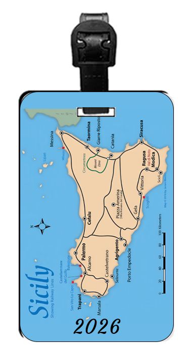 7 Custom Luggage Tags