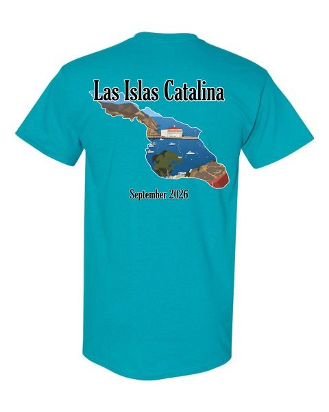 7 Custom Teal Shirts
