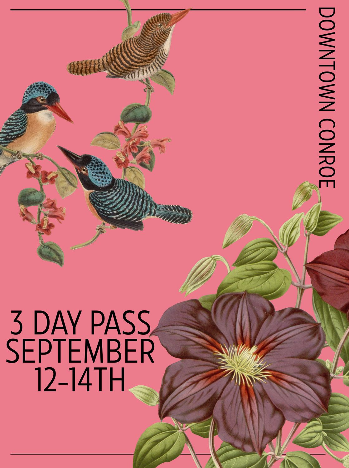 SEPTEMBER Granny Camp CTX – 3-Day Pass