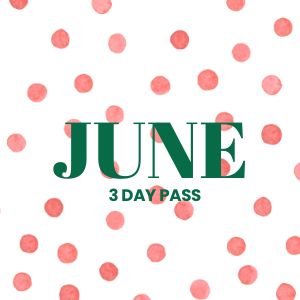 JUNE 3 DAY PASS Granny Camp