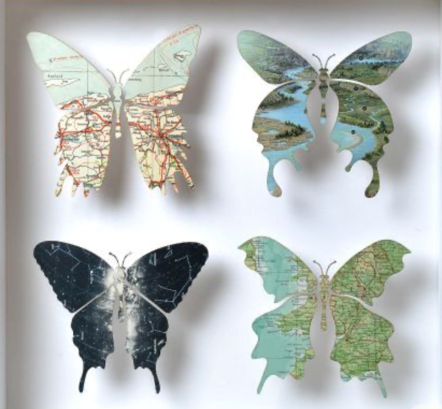 SUNDAY 4:00 - Mapped out Wings