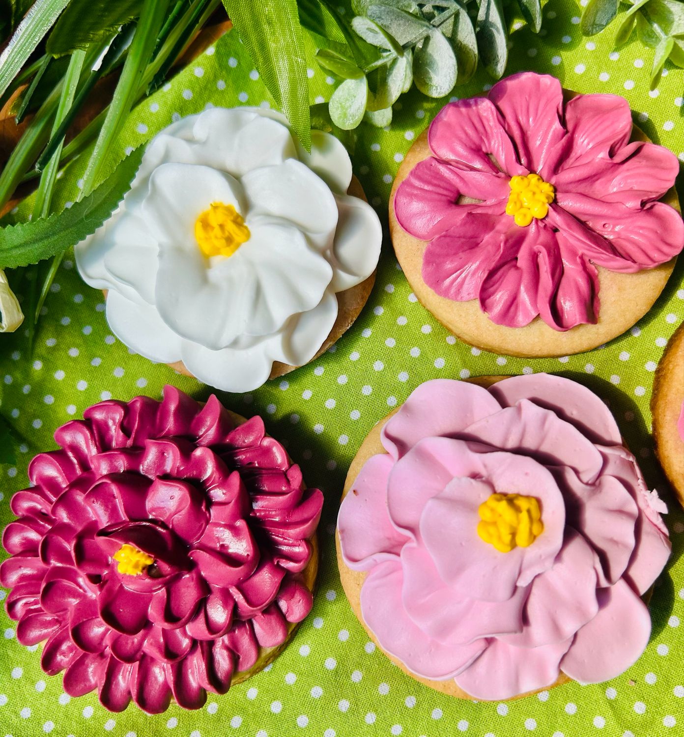 SUNDAY 12:00 - Cookie Canvas