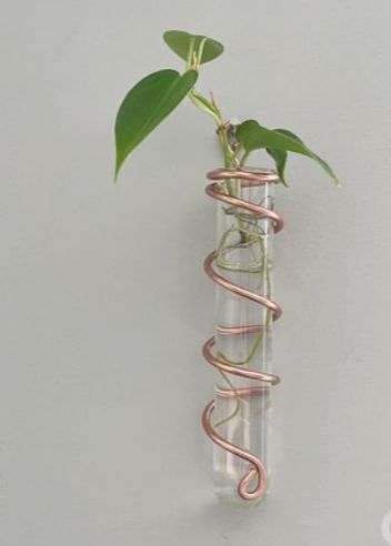 SUNDAY 3:00 - Little Plants, Big Love