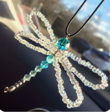 SUNDAY 3:00 - Dragonfly Dazzle