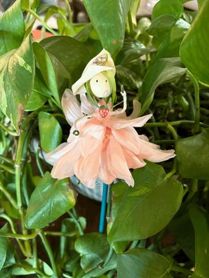 SUNDAY 3:00 - Fairy Plant Godmother