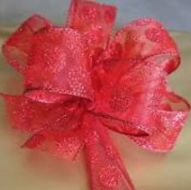 SAT SPECIAL 10:30 - BOW MAKING 101