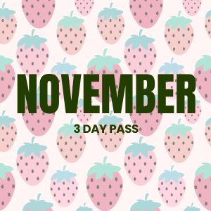 NOVEMBER 3 DAY PASS GC