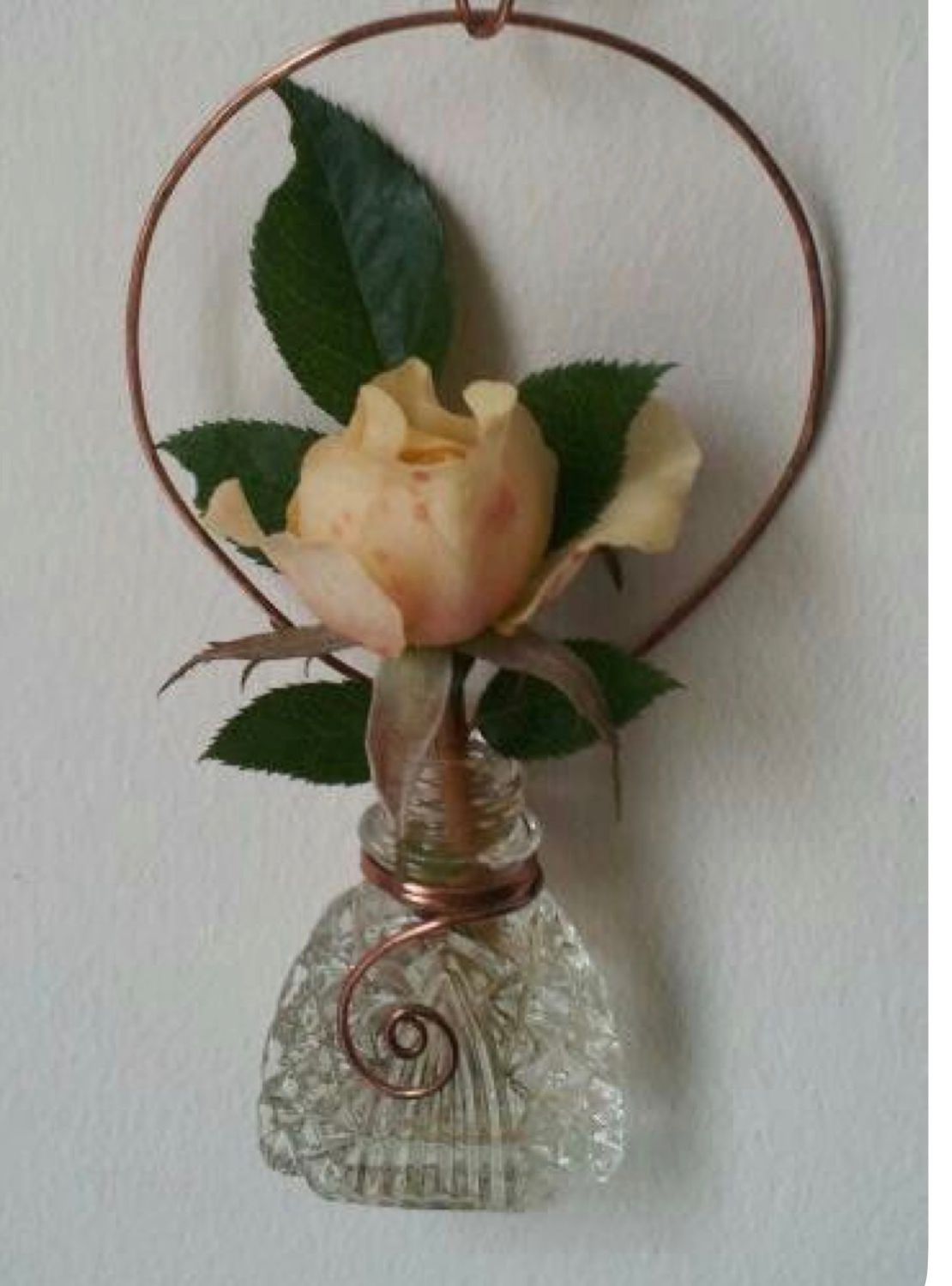 SAT SPECIAL 12:00 - Shakers &amp; Sprouts