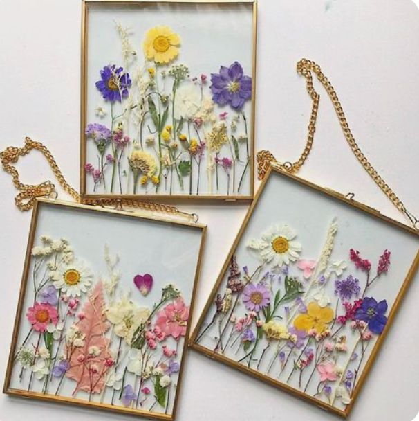 SAT SPECIAL 5:00 - Pressed &amp; Preserved