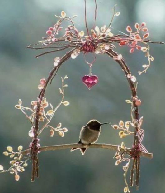 GC FRIDAY 6:00 - Perch Perfect Creations