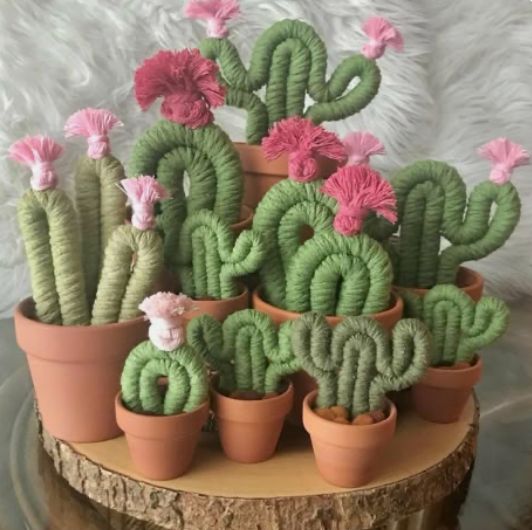 GC SATURDAY 12:00 - Knotty Little Cactus