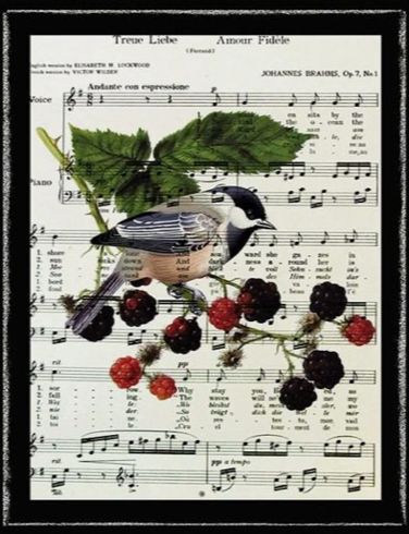 SAT SPECIAL 12:00 - Songbird Music