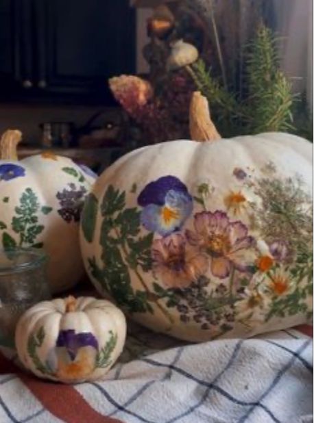 GC FRIDAY 5:00 - Pretty Little Pumpkins