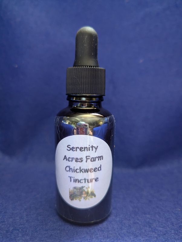Chickweed Tincture