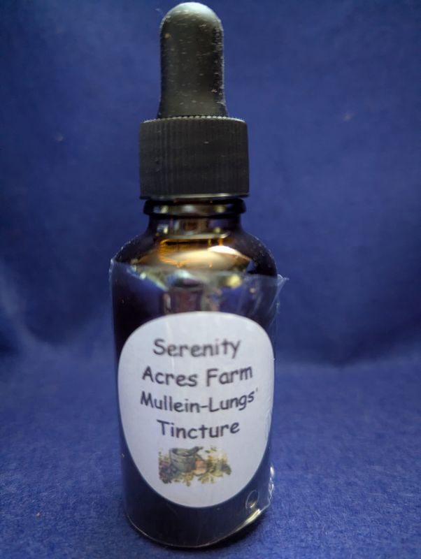 Mullein Tincture