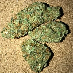 Buy Hybrid Marijuana Strain