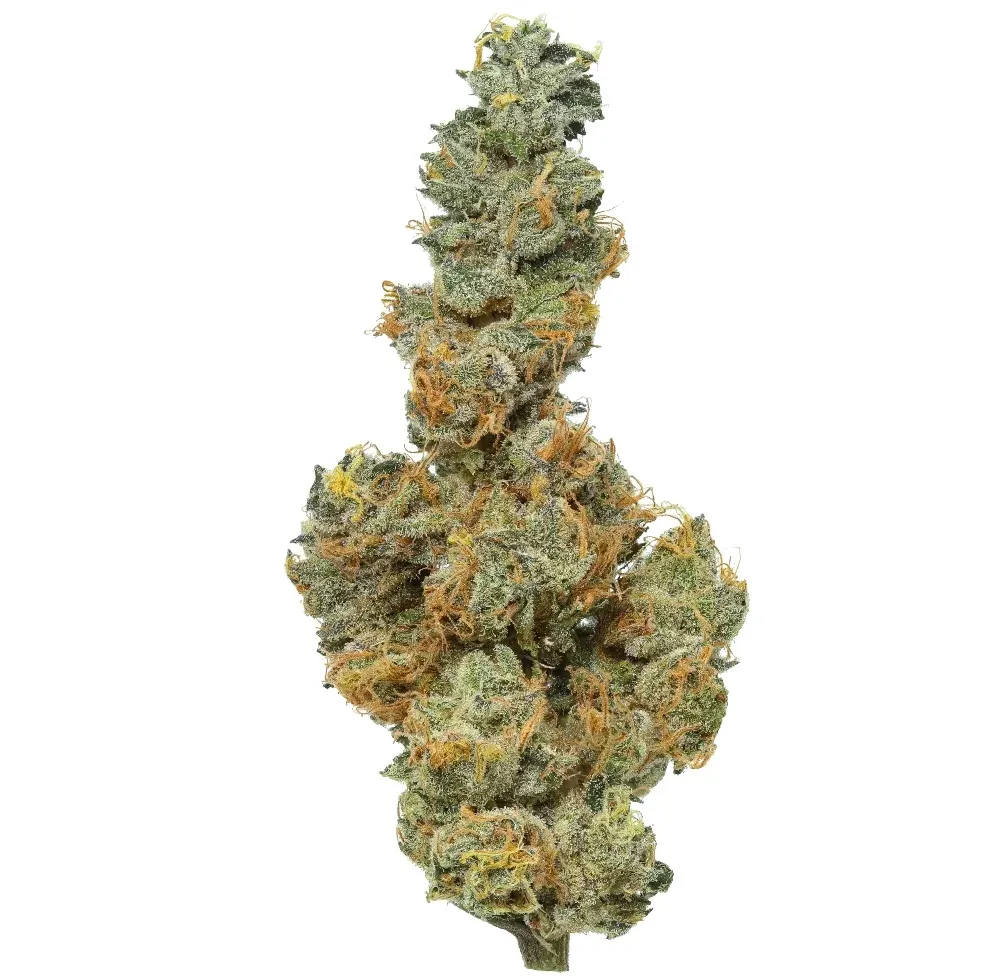 Flow Gardens – Apple Sauce