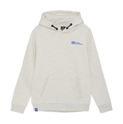 Indian Blue Jeans Hoodie Limited Apparel Light Grey Melange 960445