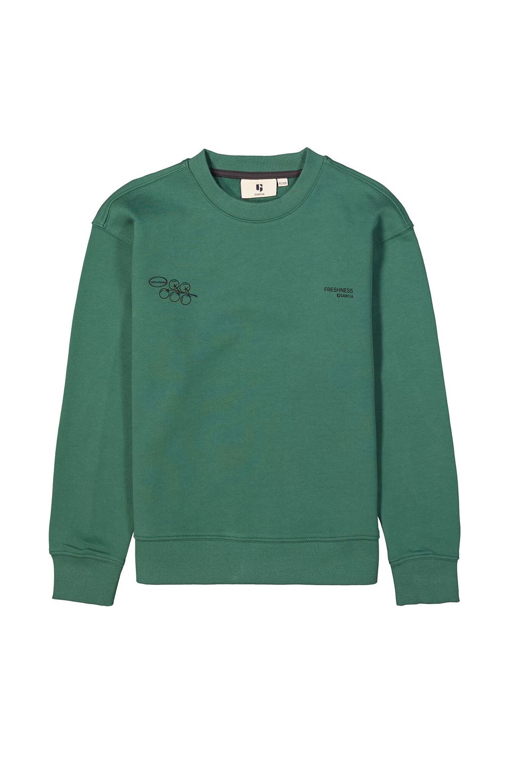 Garcia boys sweat conifer H53464