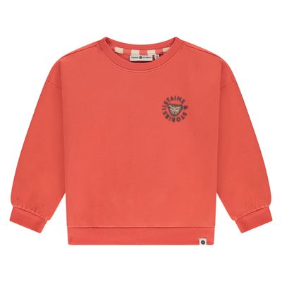 Stains &amp; Stories Girls Sweatshirt Grapefruit SSA25408450