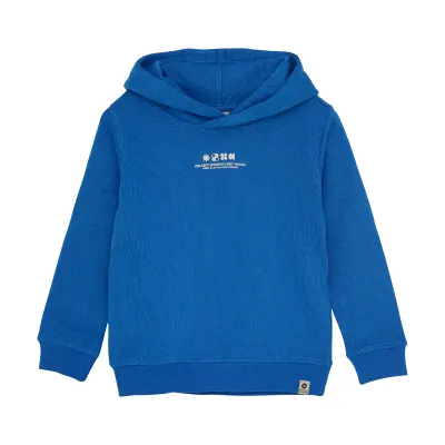 Daily Seven Hoodie Backprint Dusty Kobalt 920185