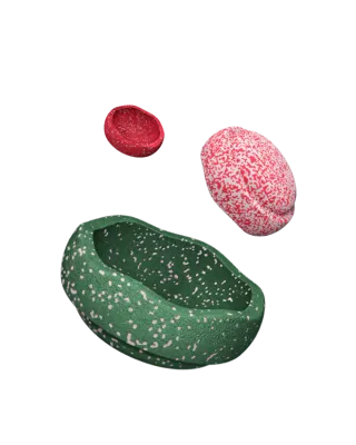 Stapelstein Special Trilogy set blush