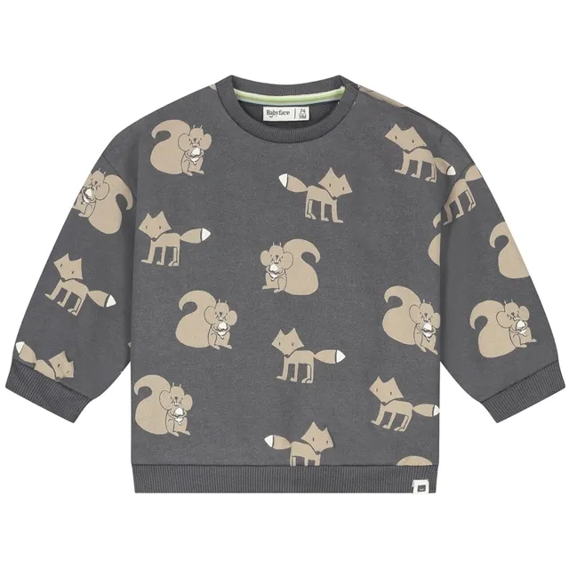 Babyface baby boys sweatshirt Antra BBE26427455