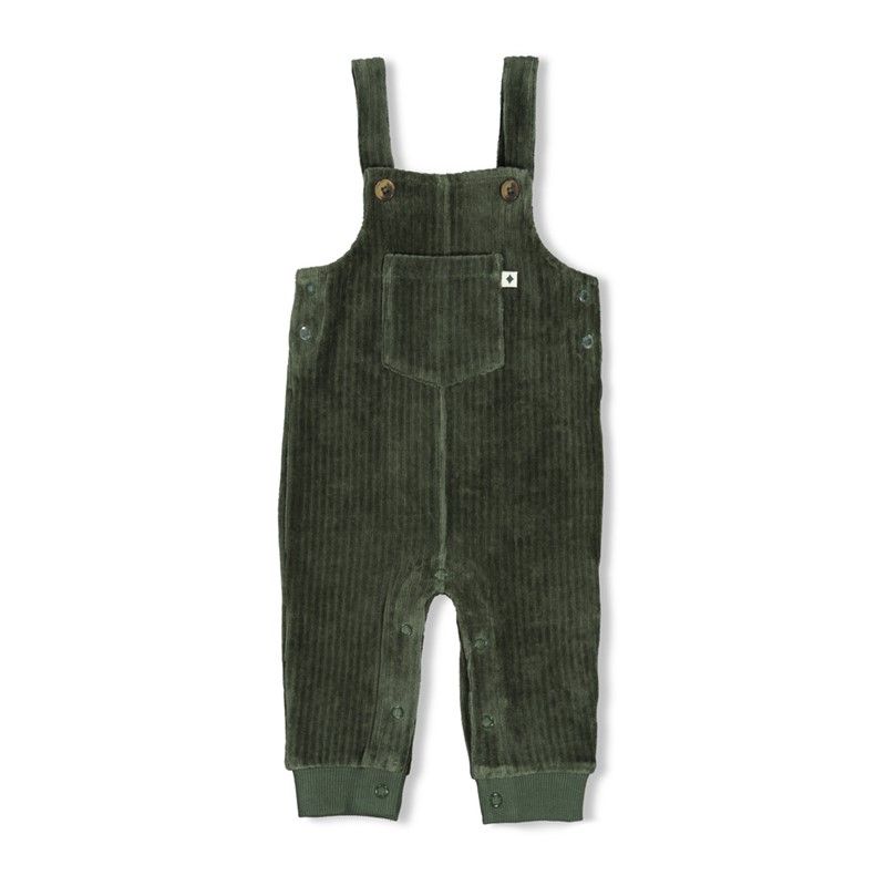 Feetje Tuinbroek velours rib - Wiggle and W Groen 52000143