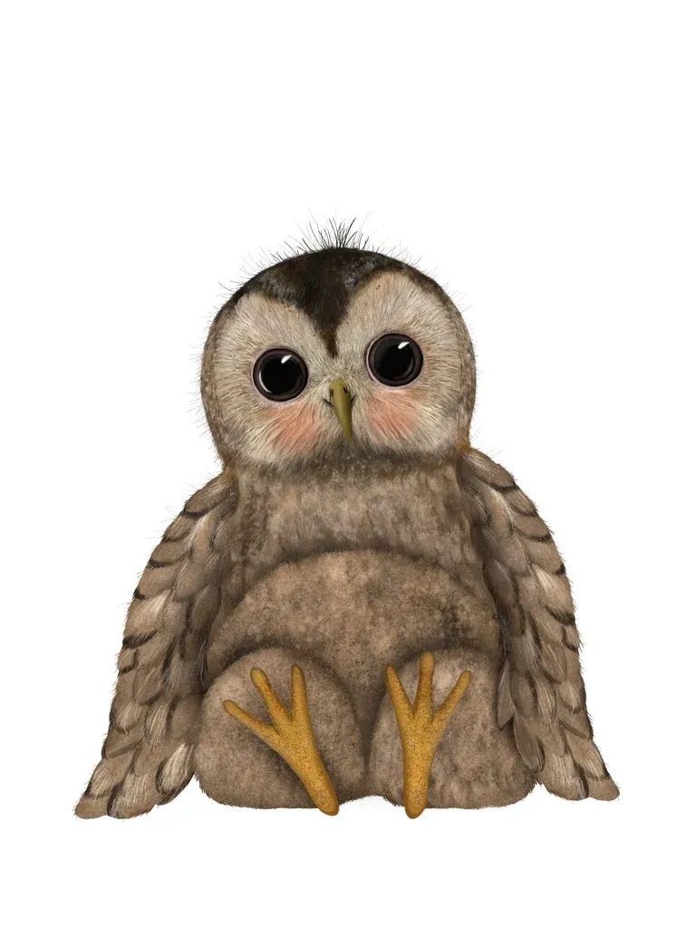Getekend door Zusje Kaart - Tawny Owl  Tawny Owl