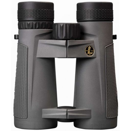 Leupold BX-5 Santiam HD 10x42mm Gray