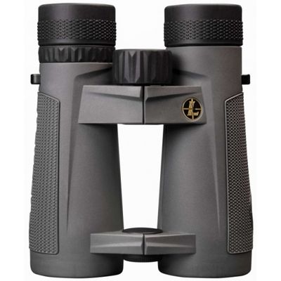 Leupold BX-5 Santiam HD 10x42mm Gray