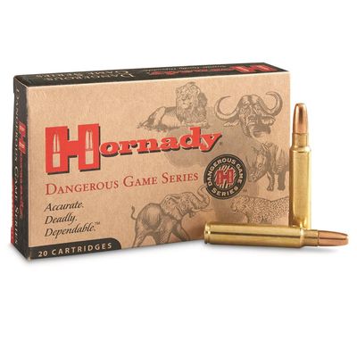 Hornady D.G.S. 375 Ruger 300gr DGS
