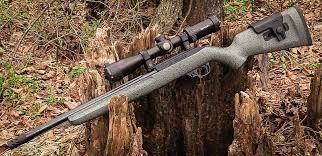 Rifles Rimfire