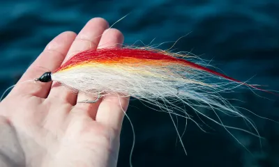 Bucktails