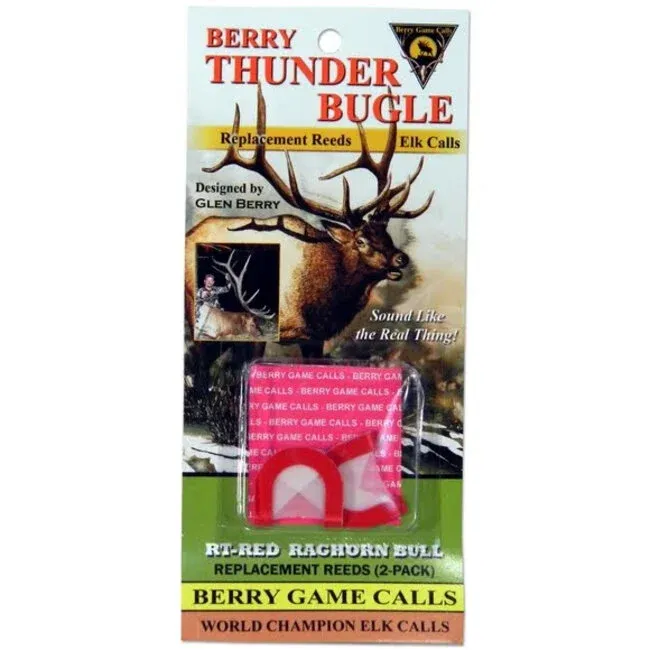 Berry Thunder Bugle Red Raghorn Bull