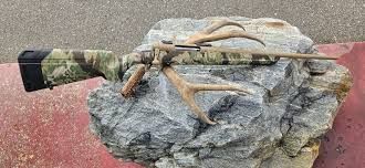 Savage Axis II RH Camo/Cerakote 270 Win 22" #R078887