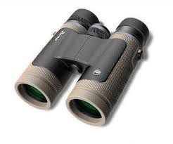 Burris Droptine 10X42mm Binoculars