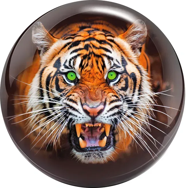Brunswick Tiger Viz-A-Ball