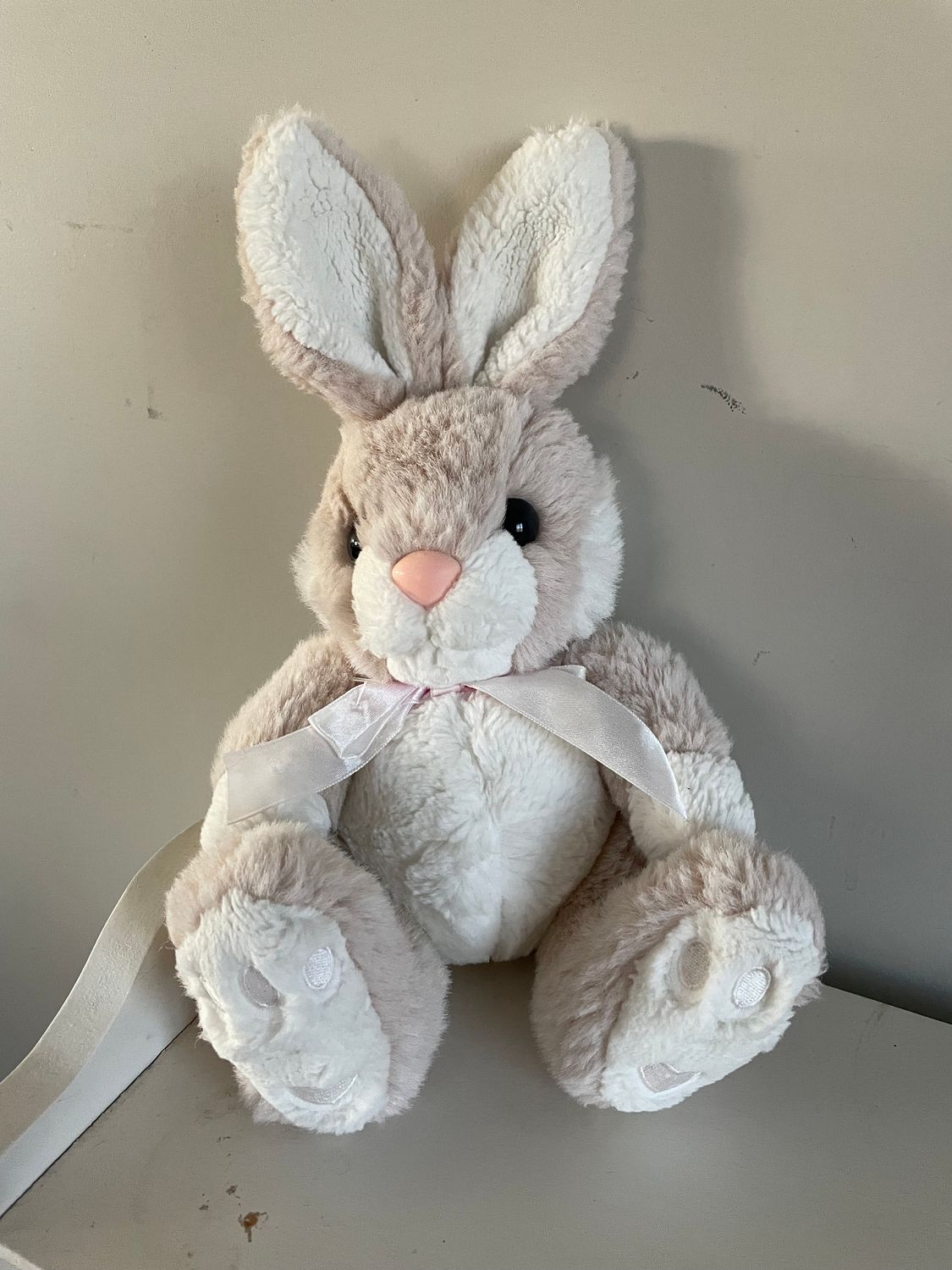 weighted bunny