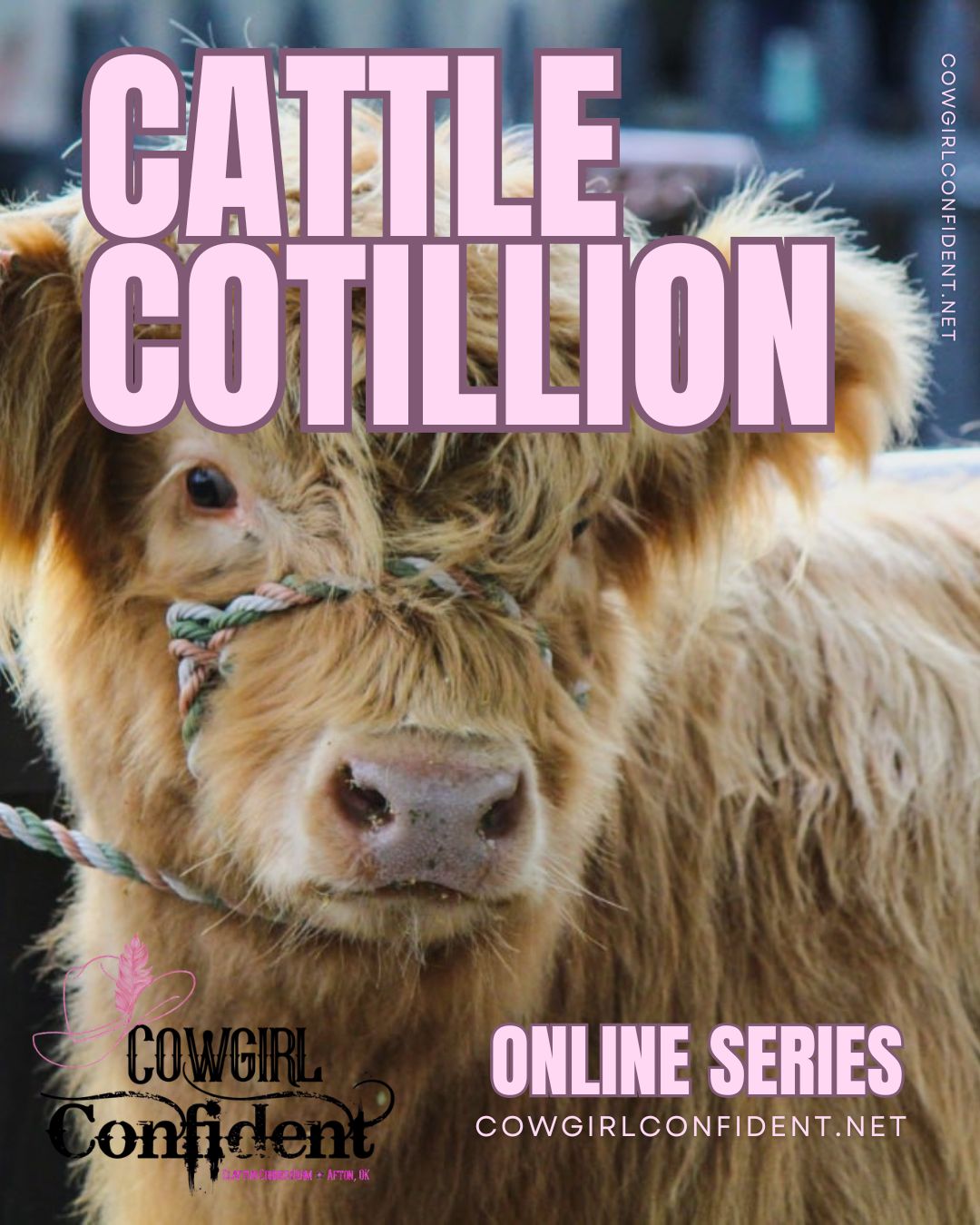 ONLINE Cowgirl Confident Cattle Cotillion ONLINE Cowgirl Confident Cattle Cotillion